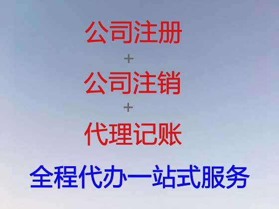 安阳公司个体工商户注册